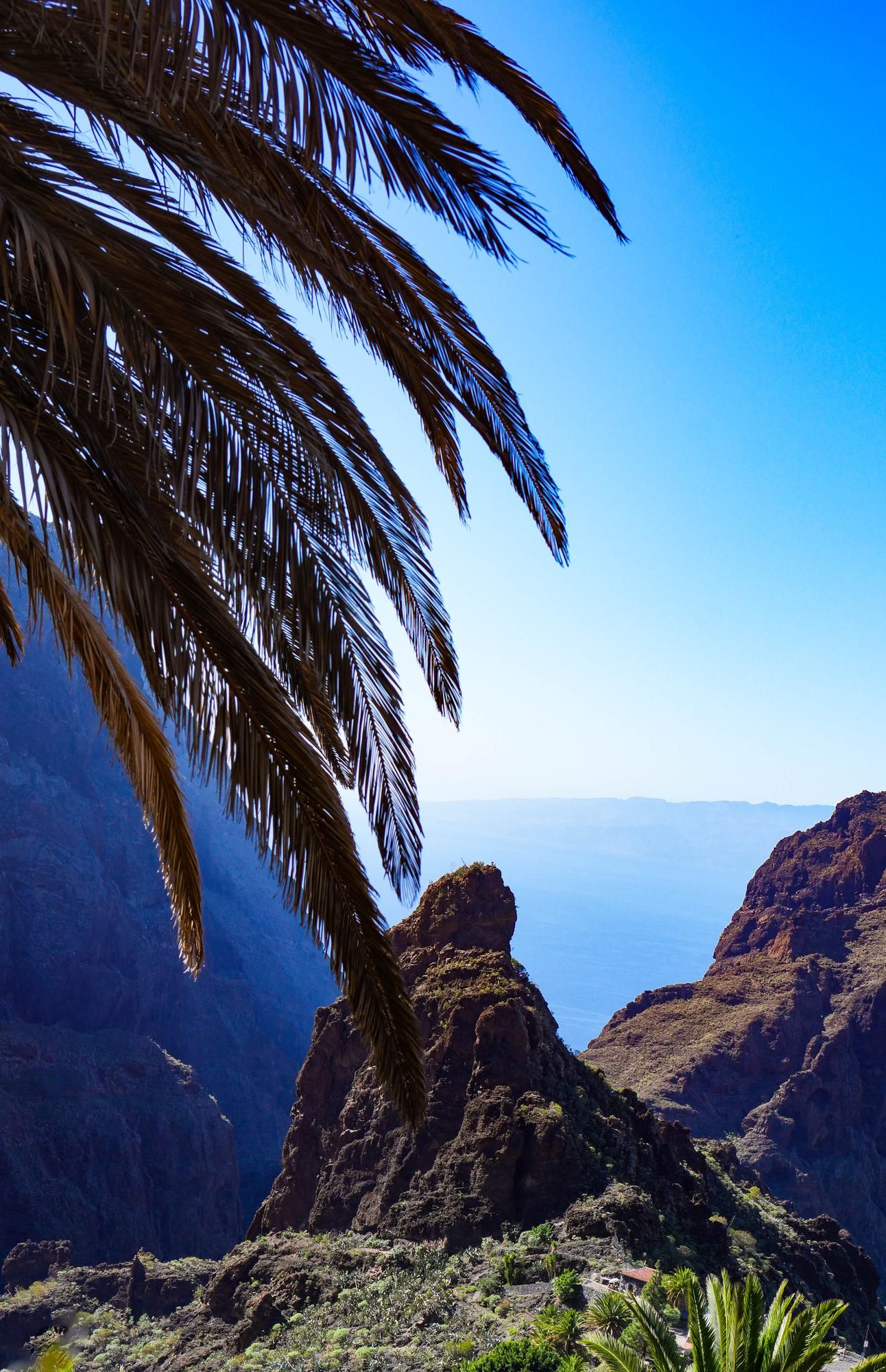 Family Transfers Tenerife